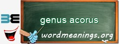 WordMeaning blackboard for genus acorus